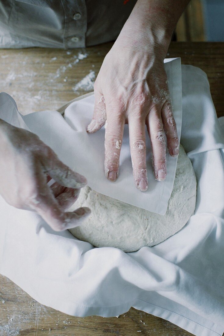 Bread dough being covered with a cloth