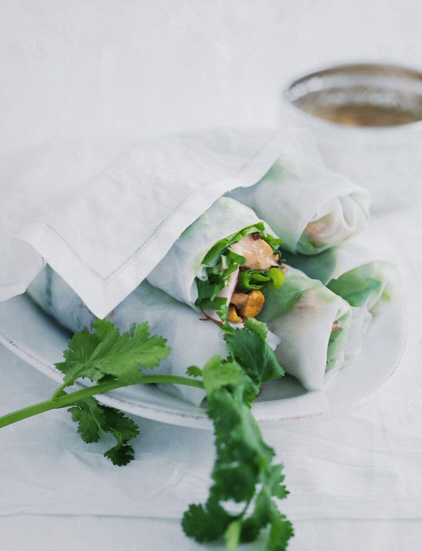 Vietnamese spring rolls on a white porcelain plate