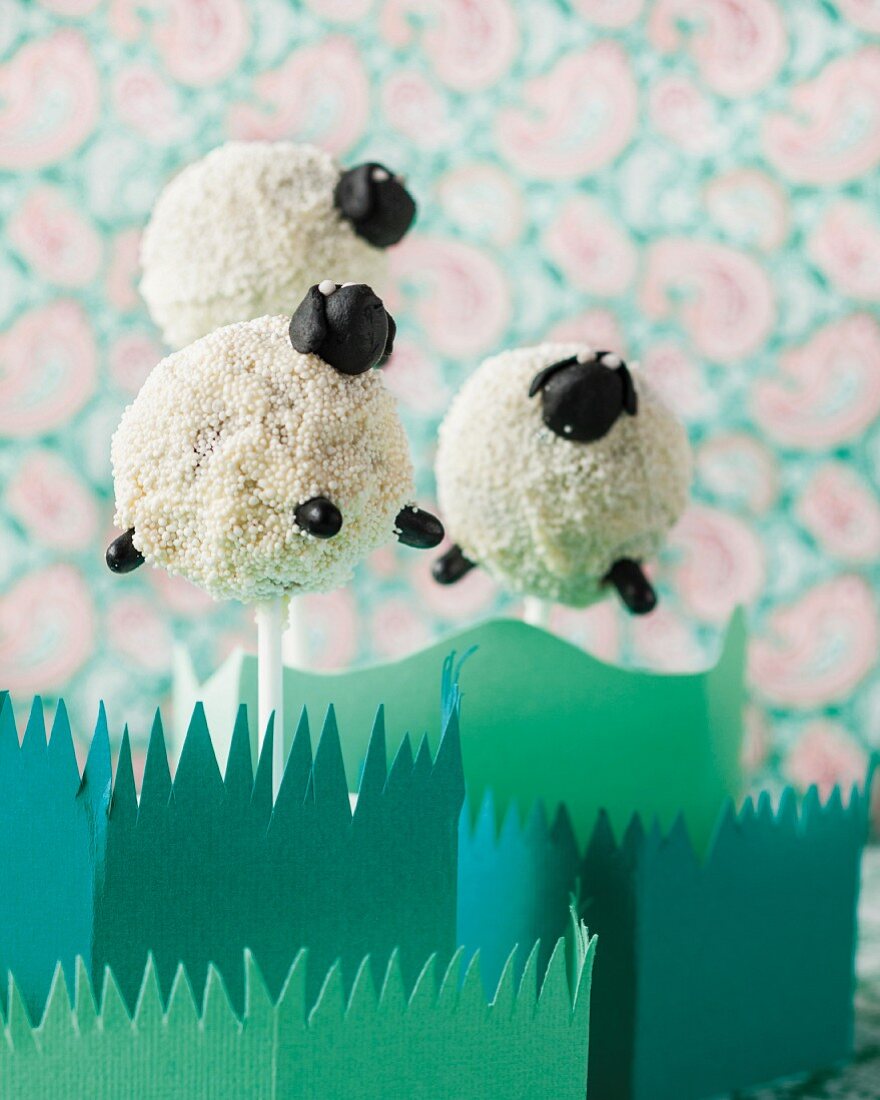 Cake pop sheep