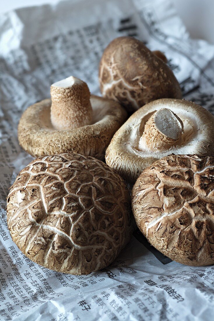 Fresh shiitake mushrooms from a market