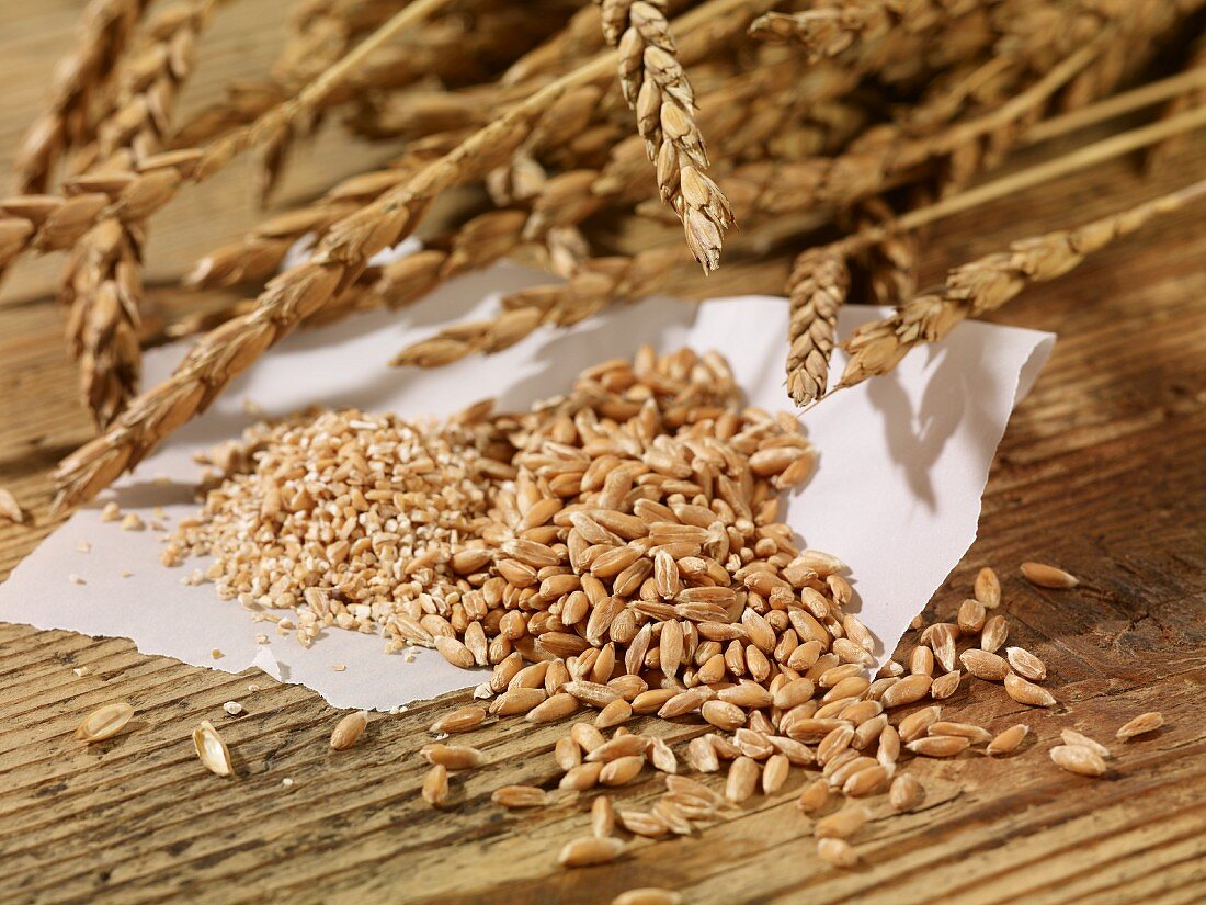 Ears of spelt, spelt seeds and spelt groats on a wooden surface