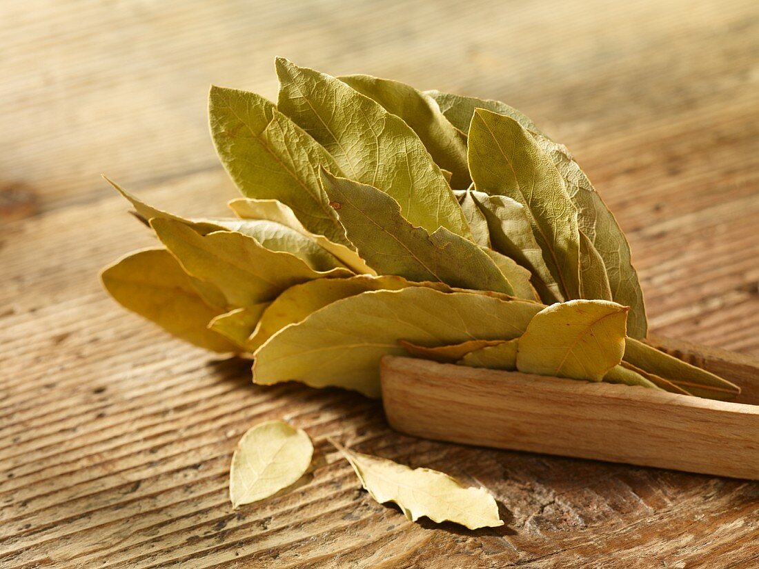 Dried bay leaves