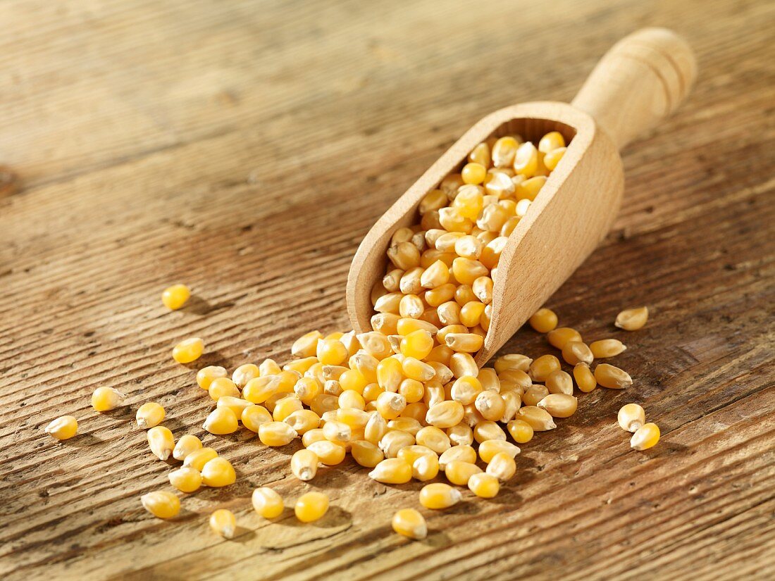 Popping corn in wooden scoop