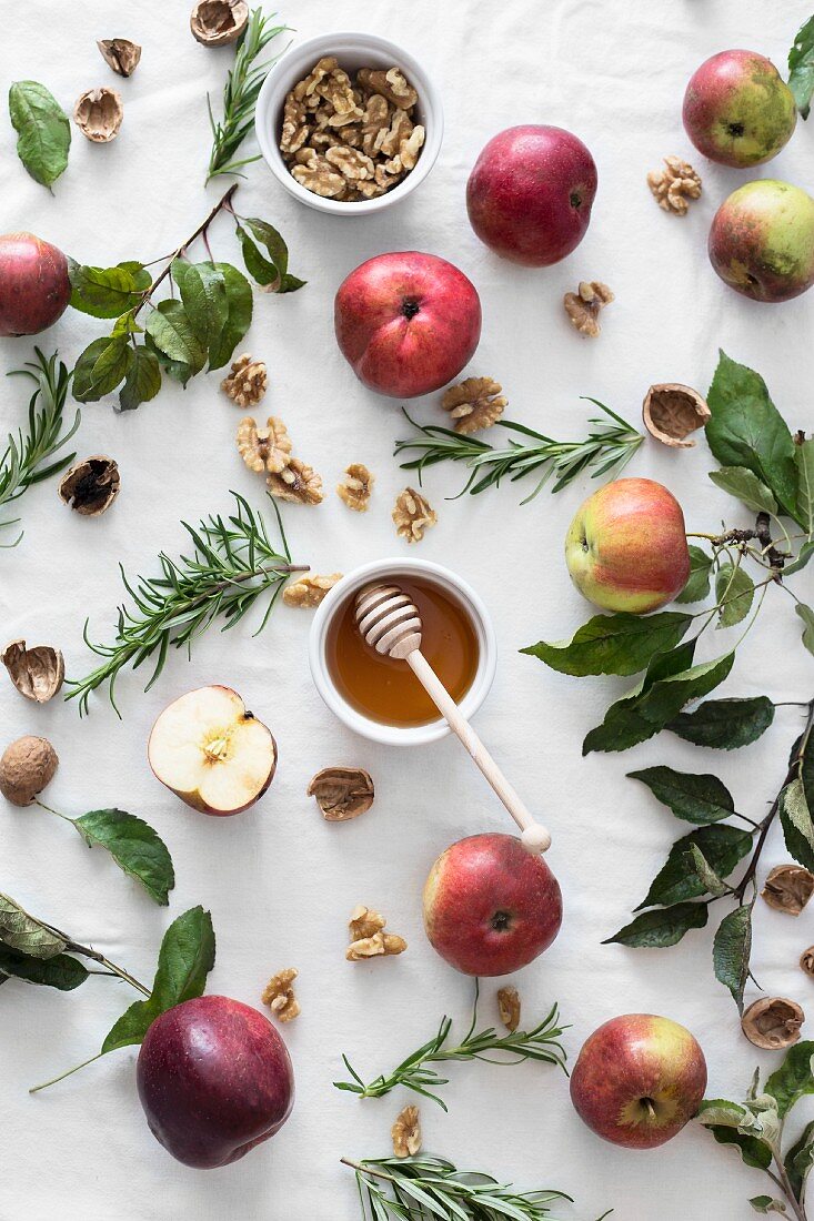 Apples, honey, walnuts and rosemary (ingredients for apple cake)