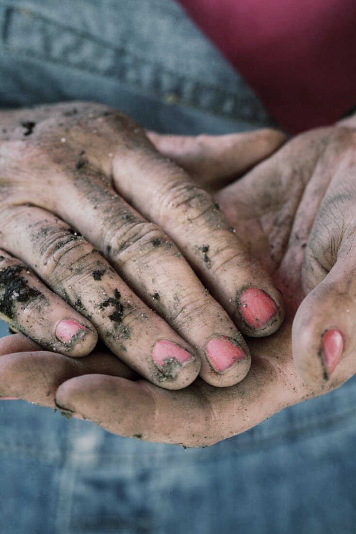Hands covered in soil