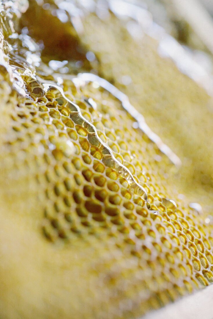 A honeycomb