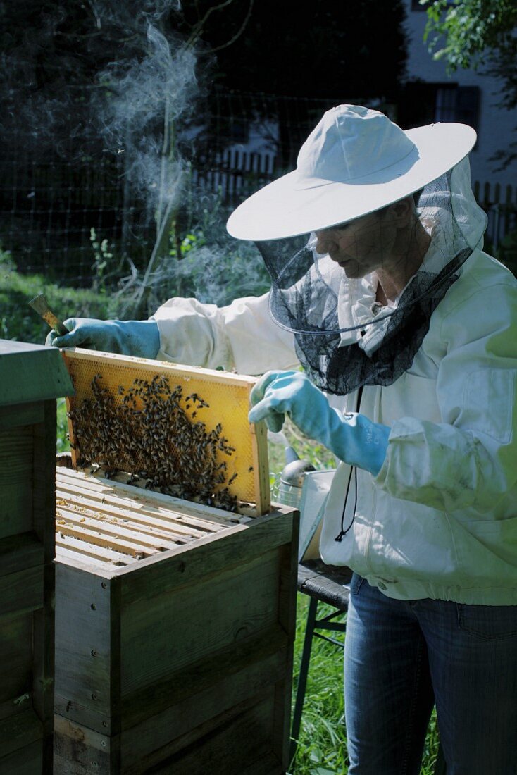 Imkerin mit Bienenwabe