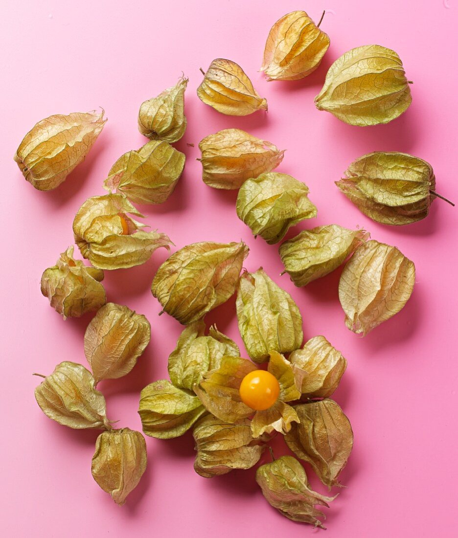 Physalis on a pink surface