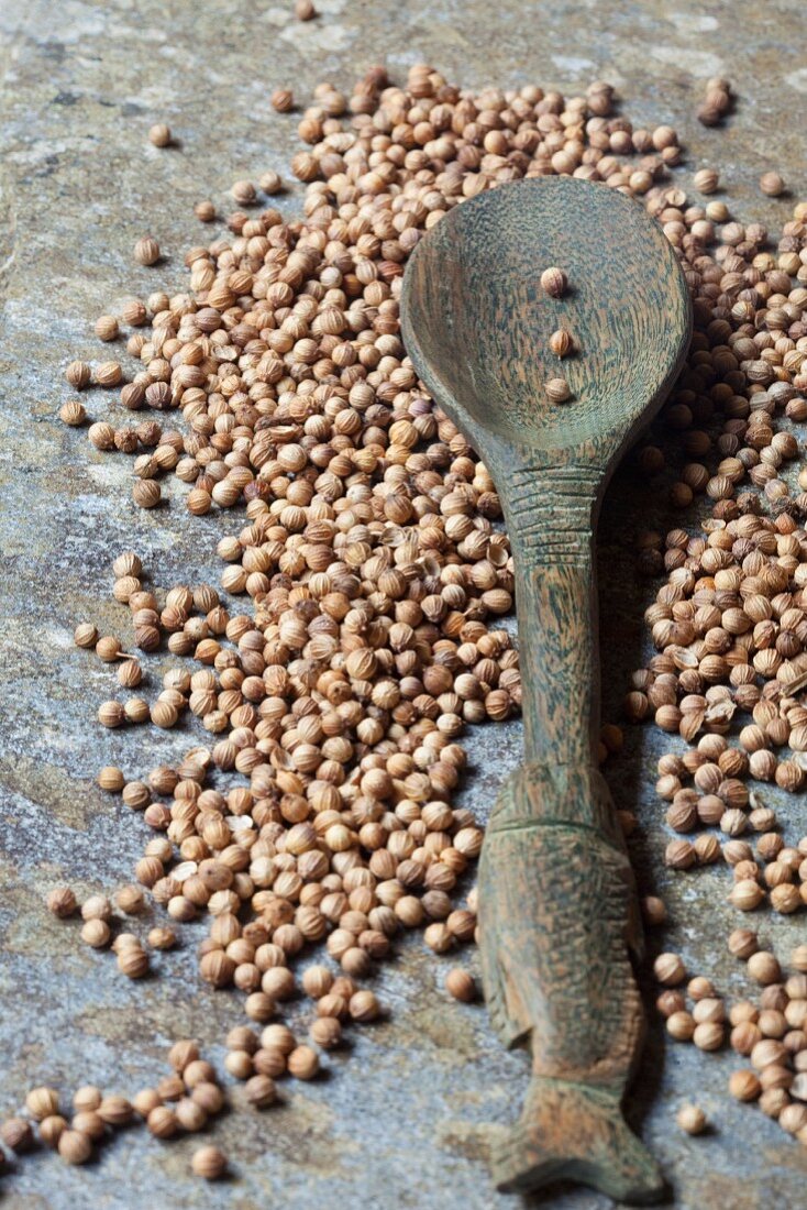 Coriander seeds with a wooden spoon