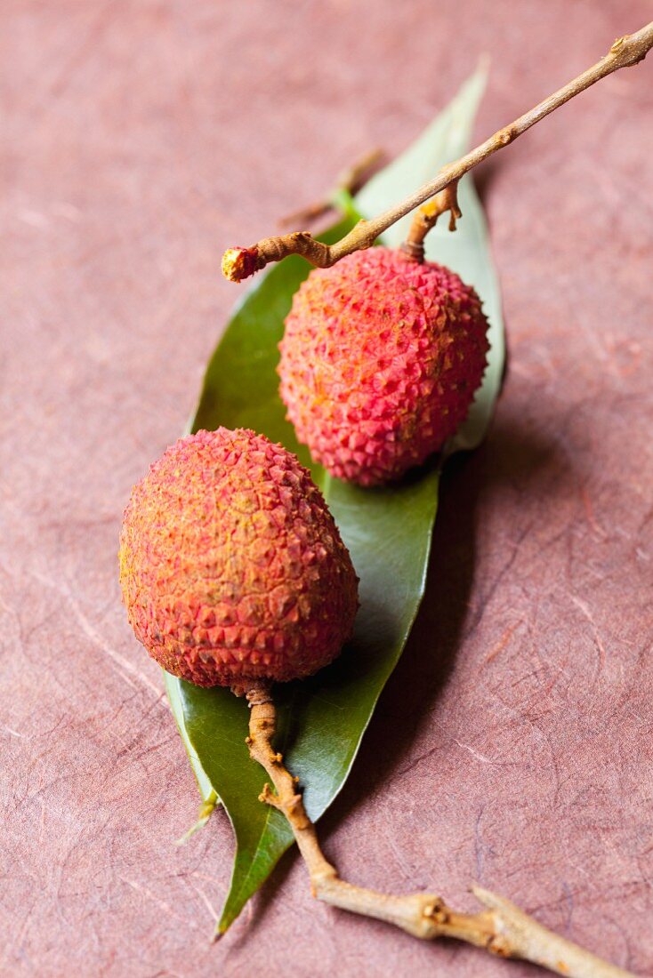 Two lychees on a leaf