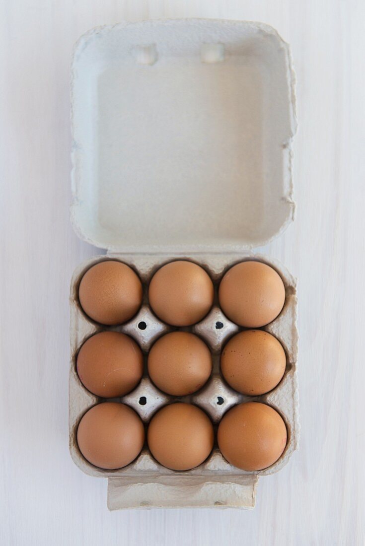 Neun braune Eier im Eierkarton (Draufsicht)