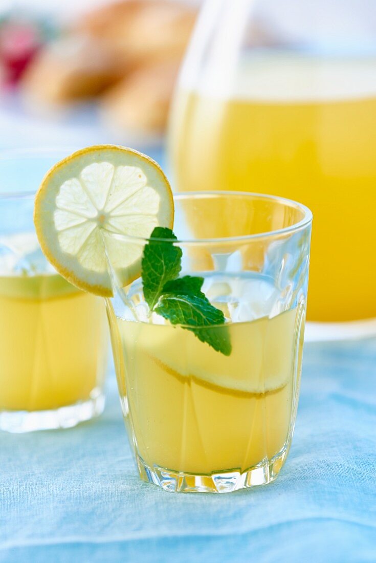 A glass of lemonade garnished with a lemon slice and mint