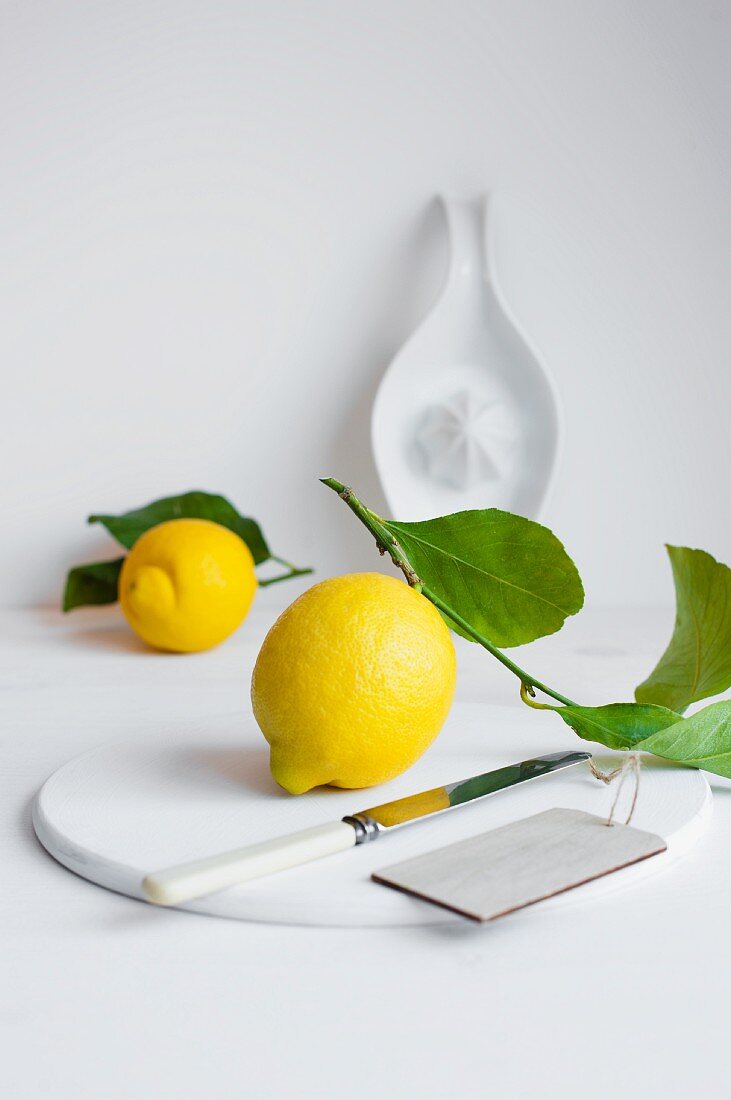 Zitronen mit Blättern vor weisser Keramikpresse