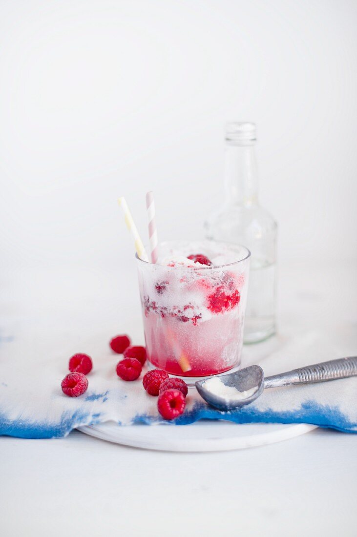 A raspberry and cream float with an ice cream scoop and fresh raspberries