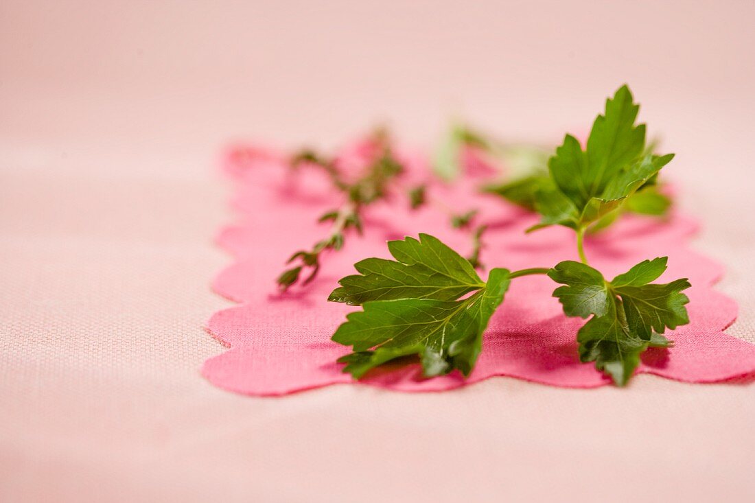 Parsley and thyme on a pink doily