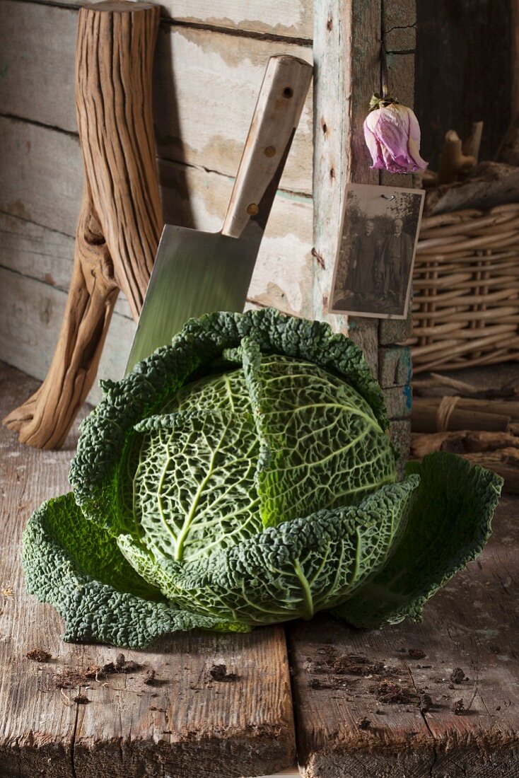 A rustic arrangement featuring a savoy cabbage