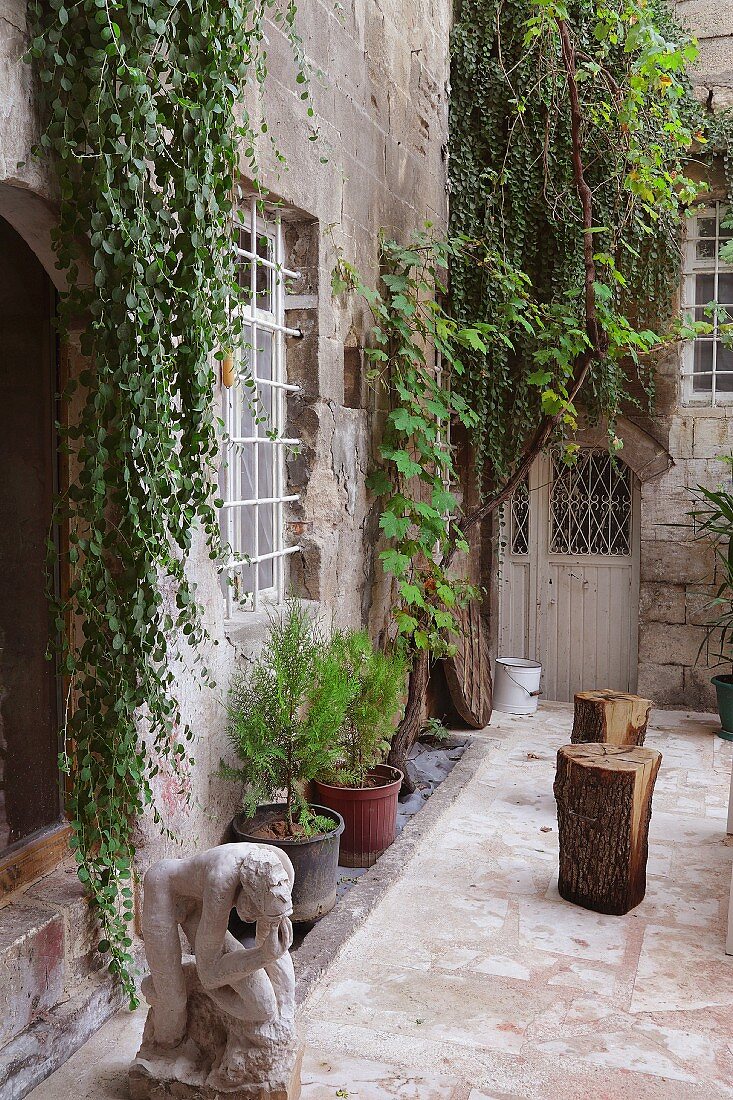Courtyard of historic house with ape sculpture and planters on floor against facade
