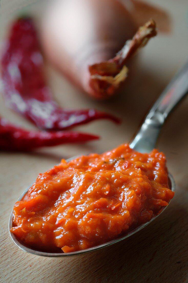 Ajvar (pepper purée from Serbia) on a spoon