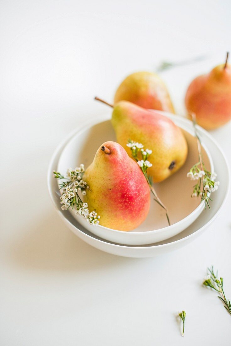 Barlett pears and white flowers in a bowl
