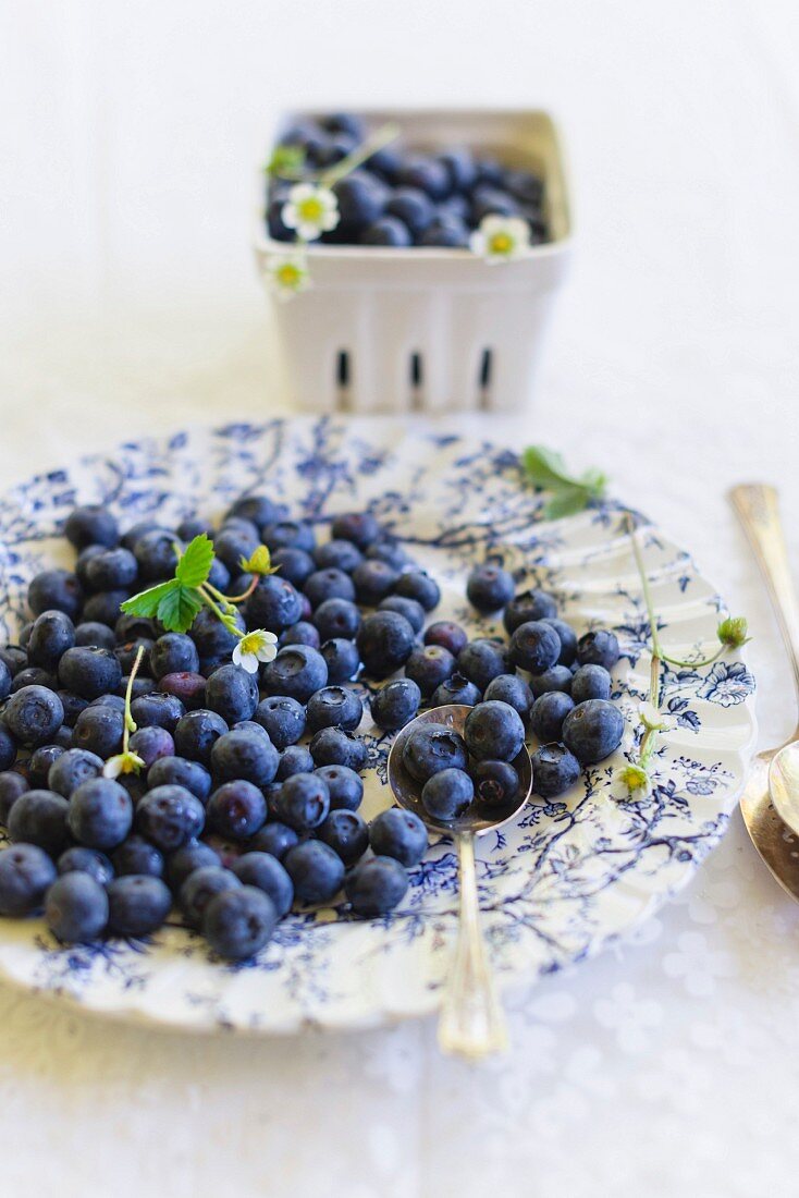 Fresh blueberries on a floral-patterned plate