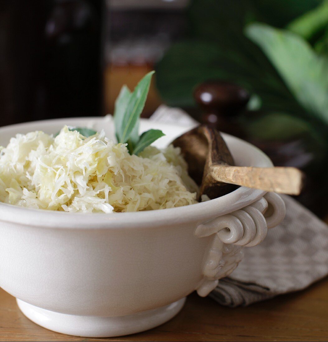 Homemade sauerkraut in a white porcelain bowl