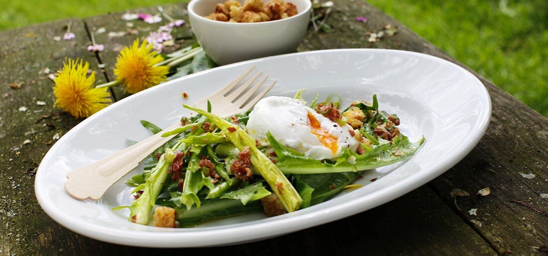 Dandelion salad with fried bacon and poached egg
