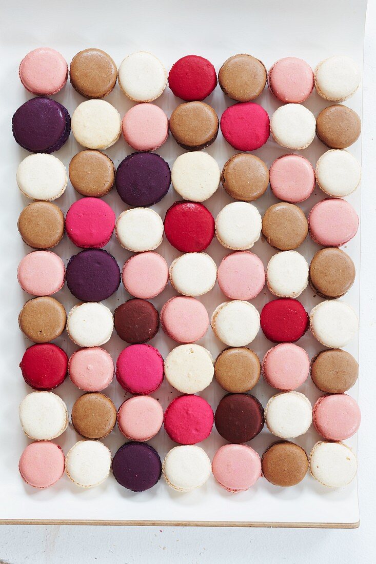 A rectangle of colourful macaroons