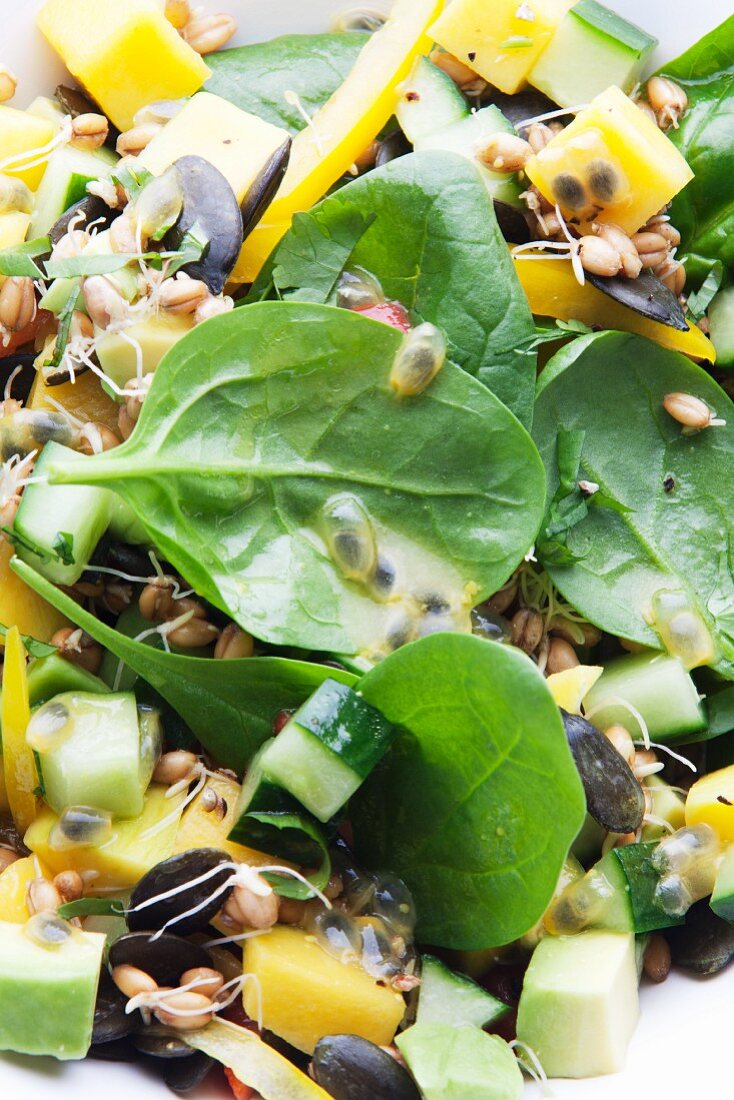 Fruity spinach salad with mango, cucumber, pepper and avocado