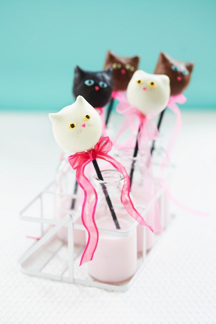 Katzenkopf-Cake-Pops in altmodischen Milchflaschen