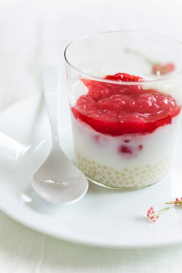 Tapioca pudding with rhubarb coulis