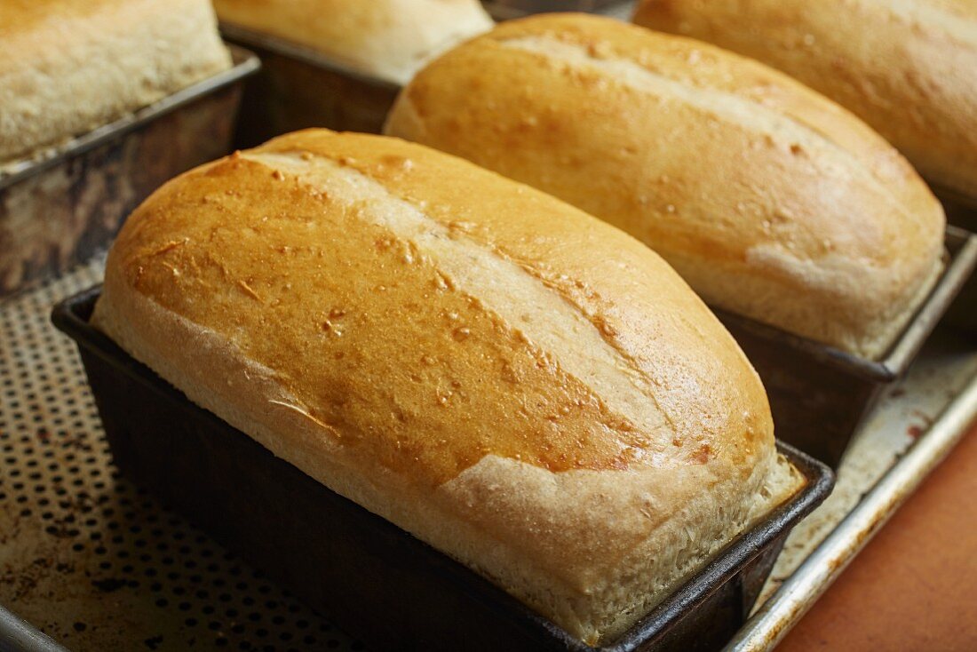 Salt bread (traditional bread from north-eastern USA)