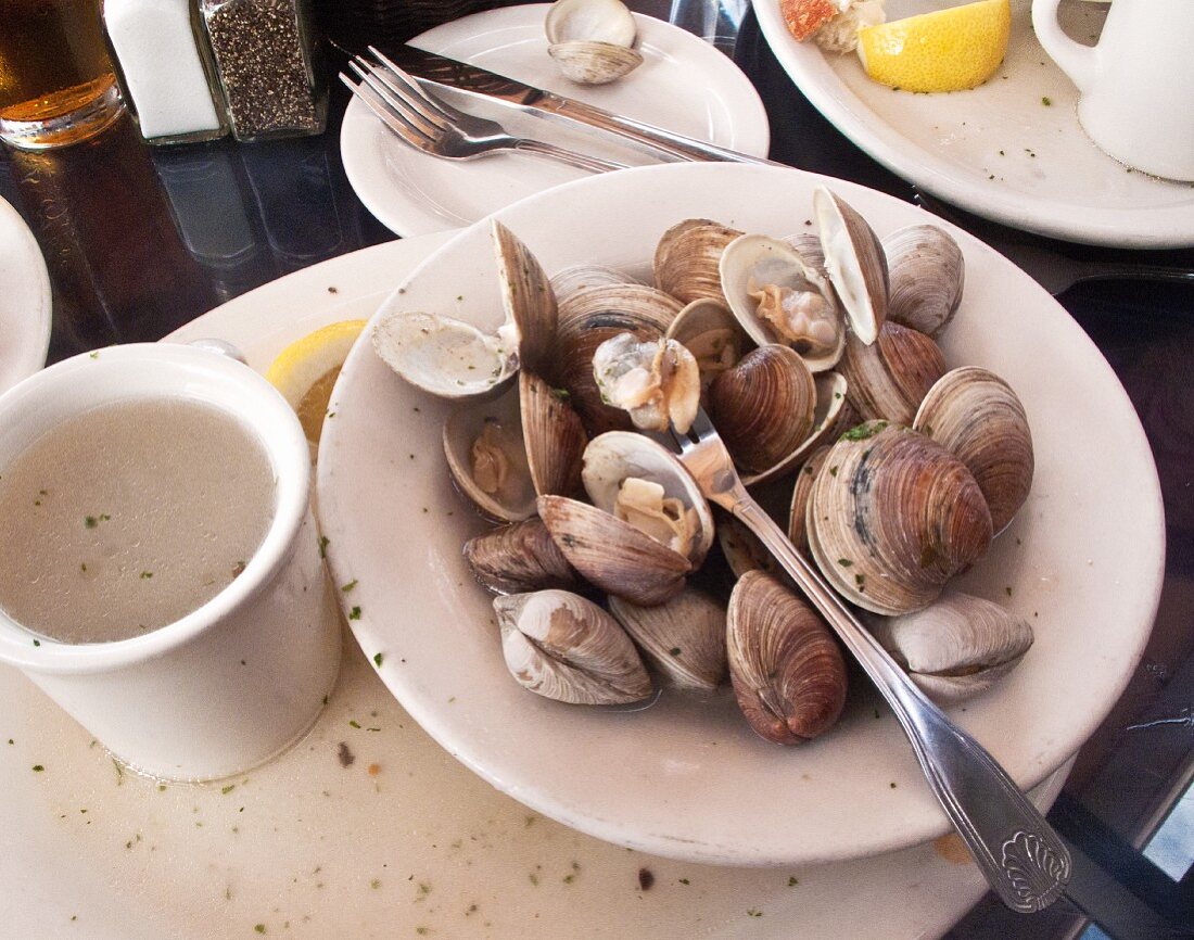 Steamed littleneck clams