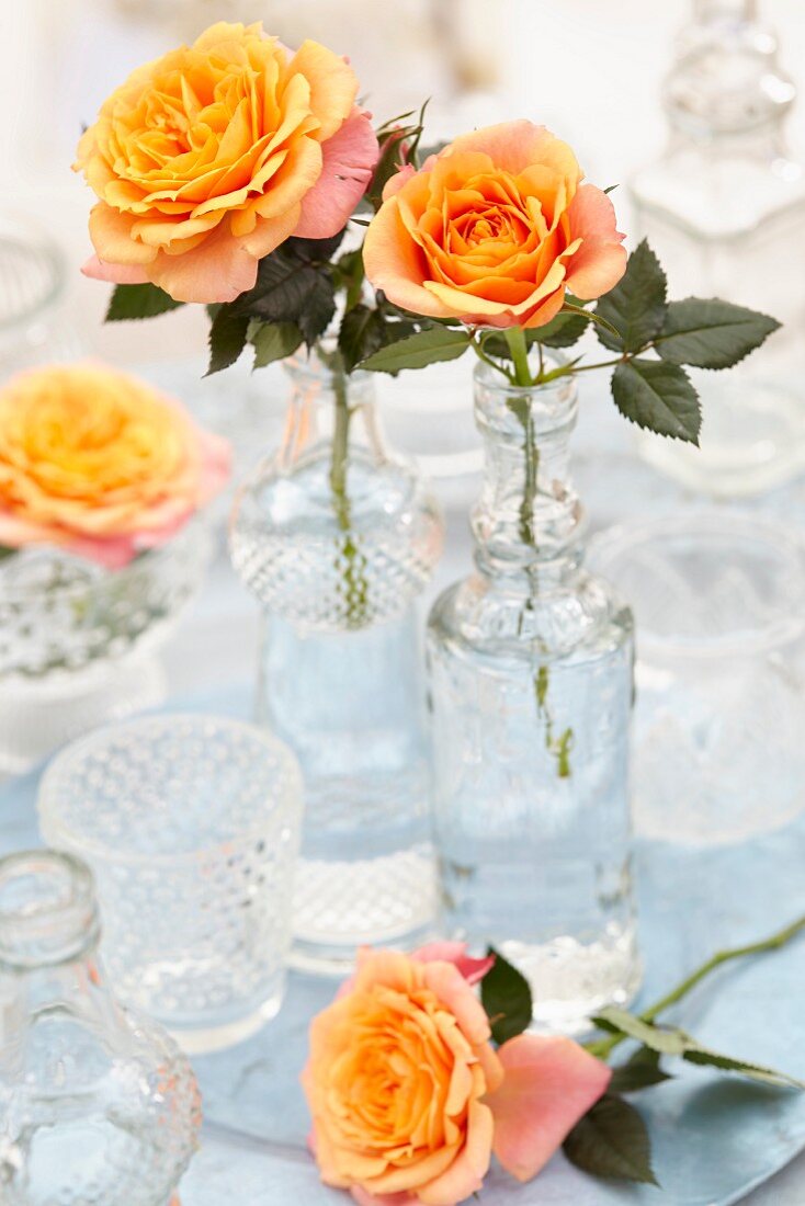 Roses in vases