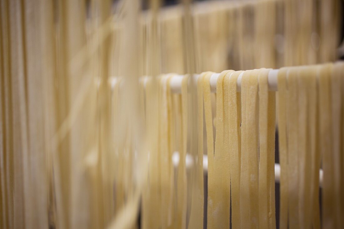 Homemade fettuccine drying on a rack