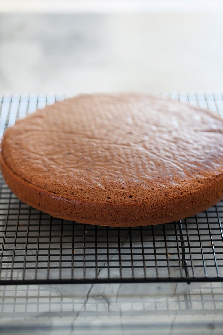 A freshly baked cake on a cooling rack