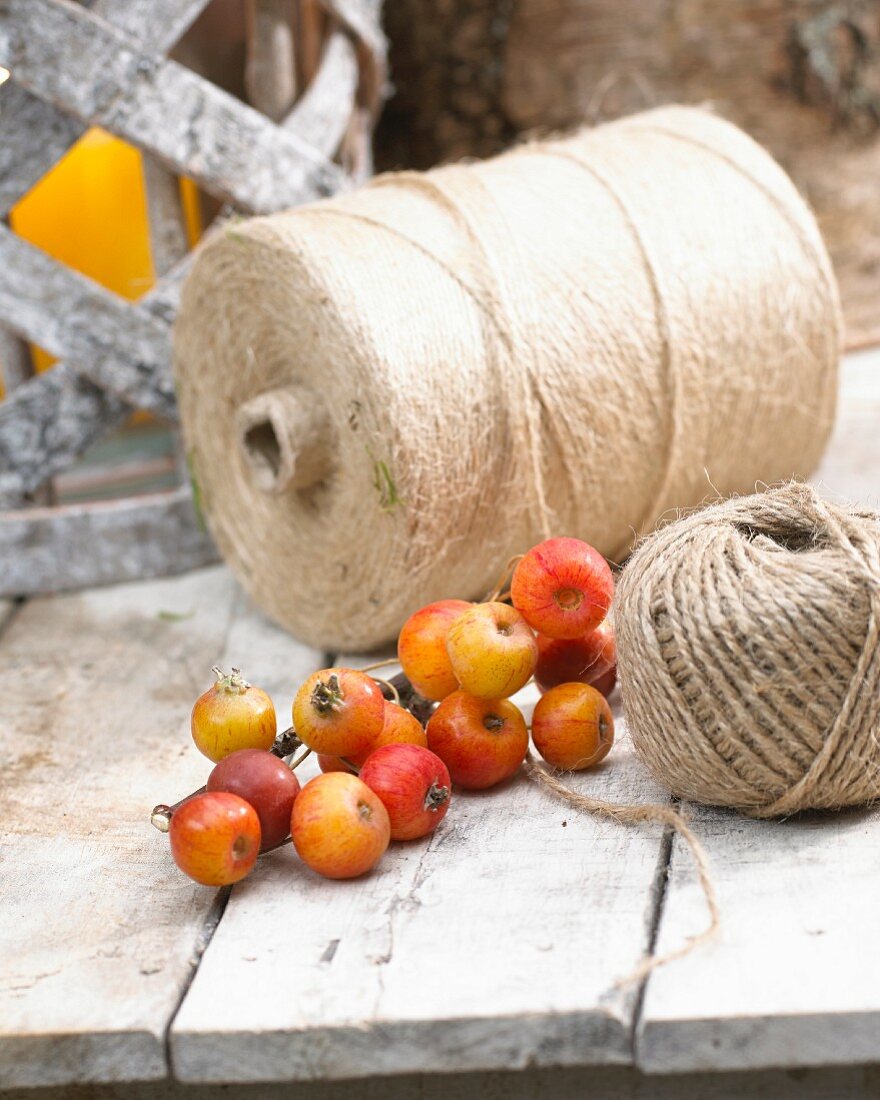 Reels of string and crab apple 'Malus Evereste'