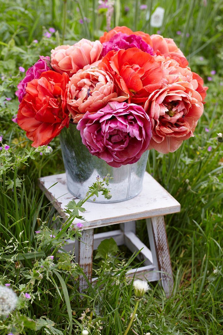 Bouquet of double tulips in bucket