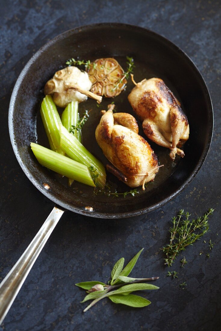 Braised spring chickens with celery, garlic, sage and thyme