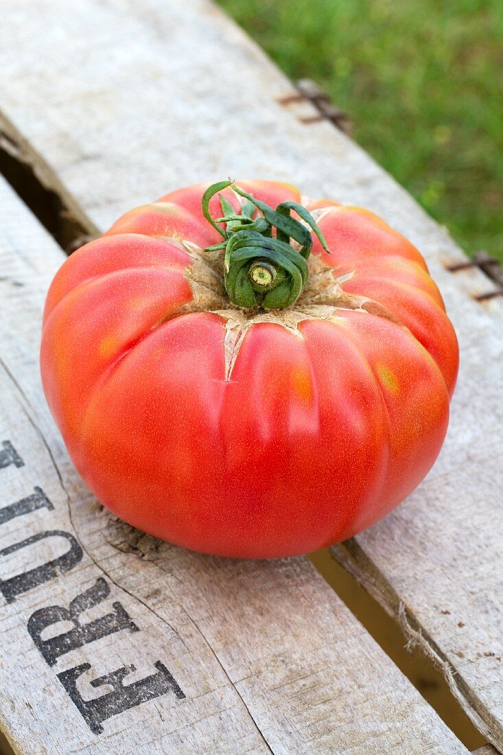 A red tomato on a wooden crate in a garden