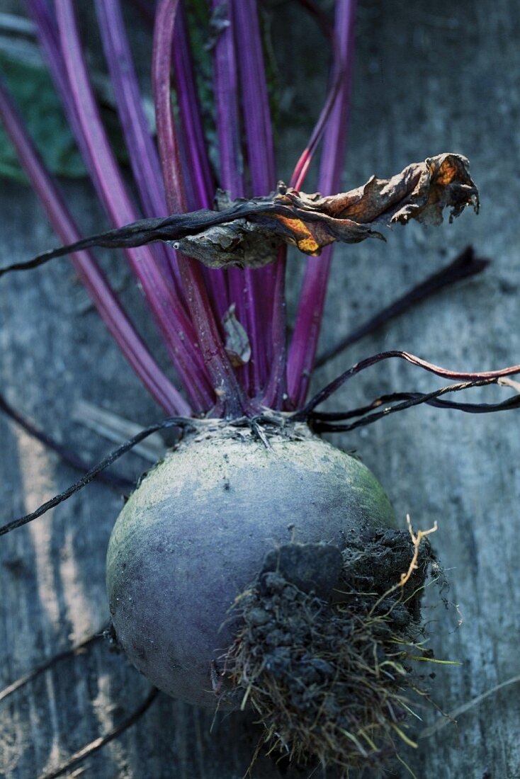 Beetroot on a wooden surface