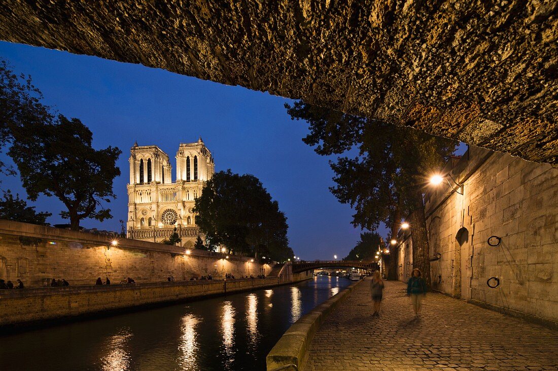 Notre Dame and the Seine by night, Paris