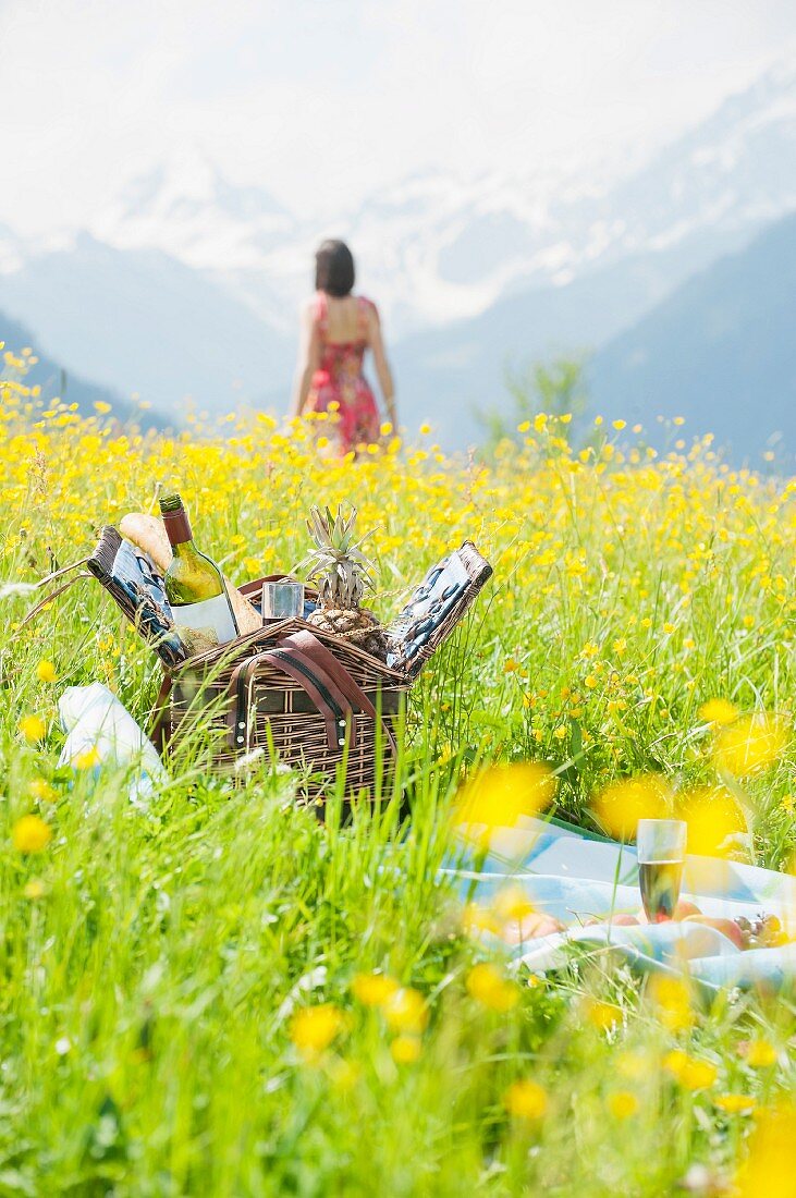 A picnic basket on alpine meadow
