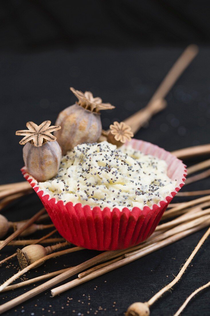 A cupcake with icing sugar, poppy seeds and poppy seed pods