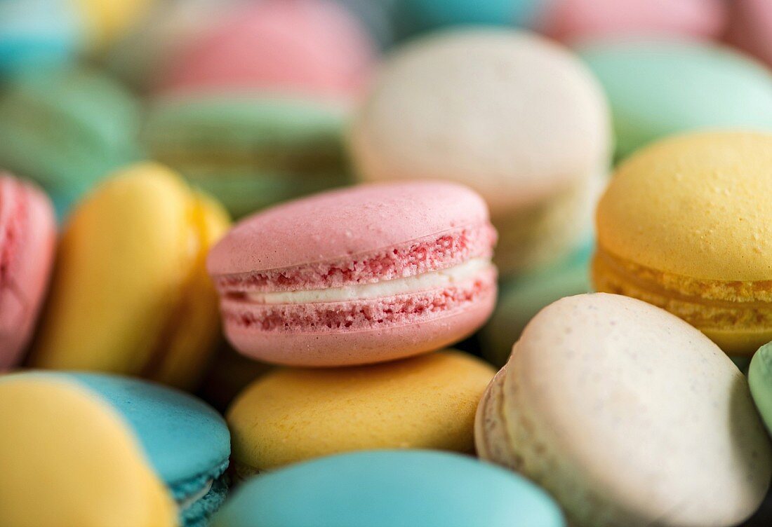 Selection of macaroons