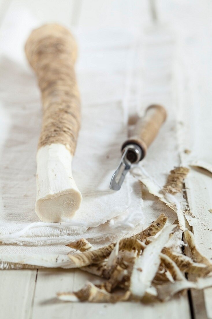 Horseradish, partially peeled, on a cloth