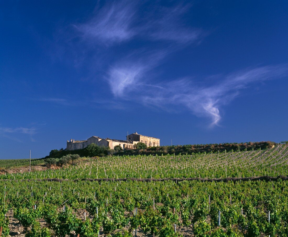 Alte Bauerngehöfte inmitten von Weinbergen im Osten von Marsala, Provinz Trapani, Sizilien