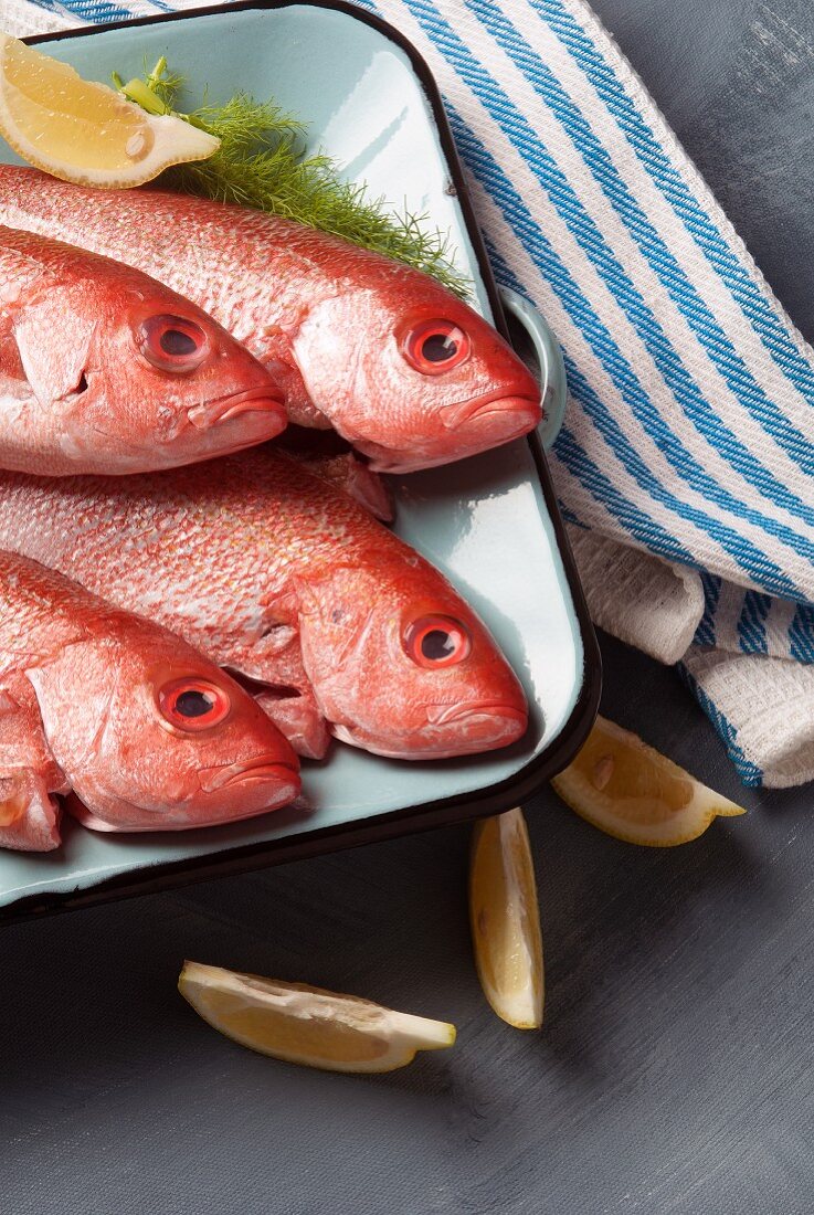 Frische Red Snapper mit Dill und Zitronen