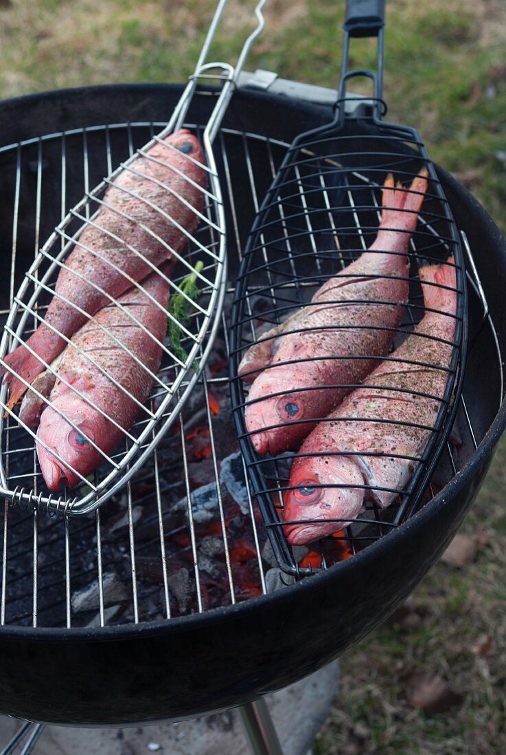 Red Snapper auf dem Grill