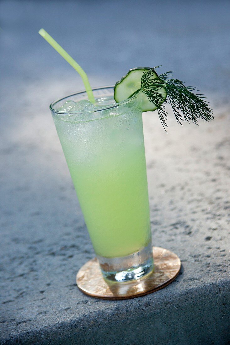 A cucumber cocktail garnished with a slice of cucumber and fennel