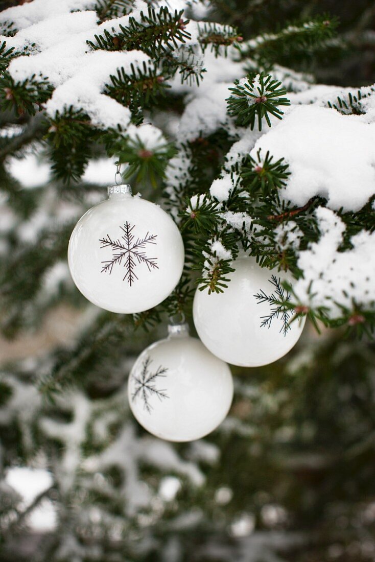 White Christmas baubles with snowflake motifs hanging from snow-covered fir branches